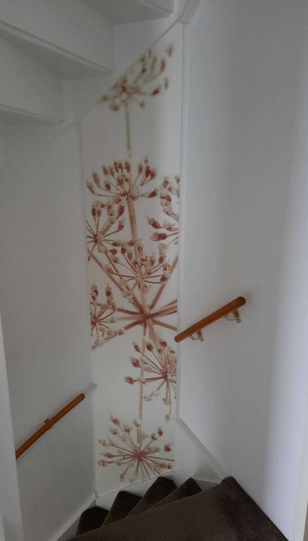 Cerfeuil sauvage en gros plan