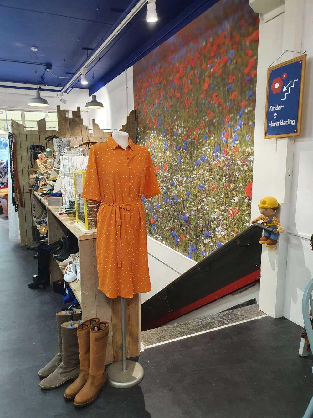 Champ plein de coquelicots