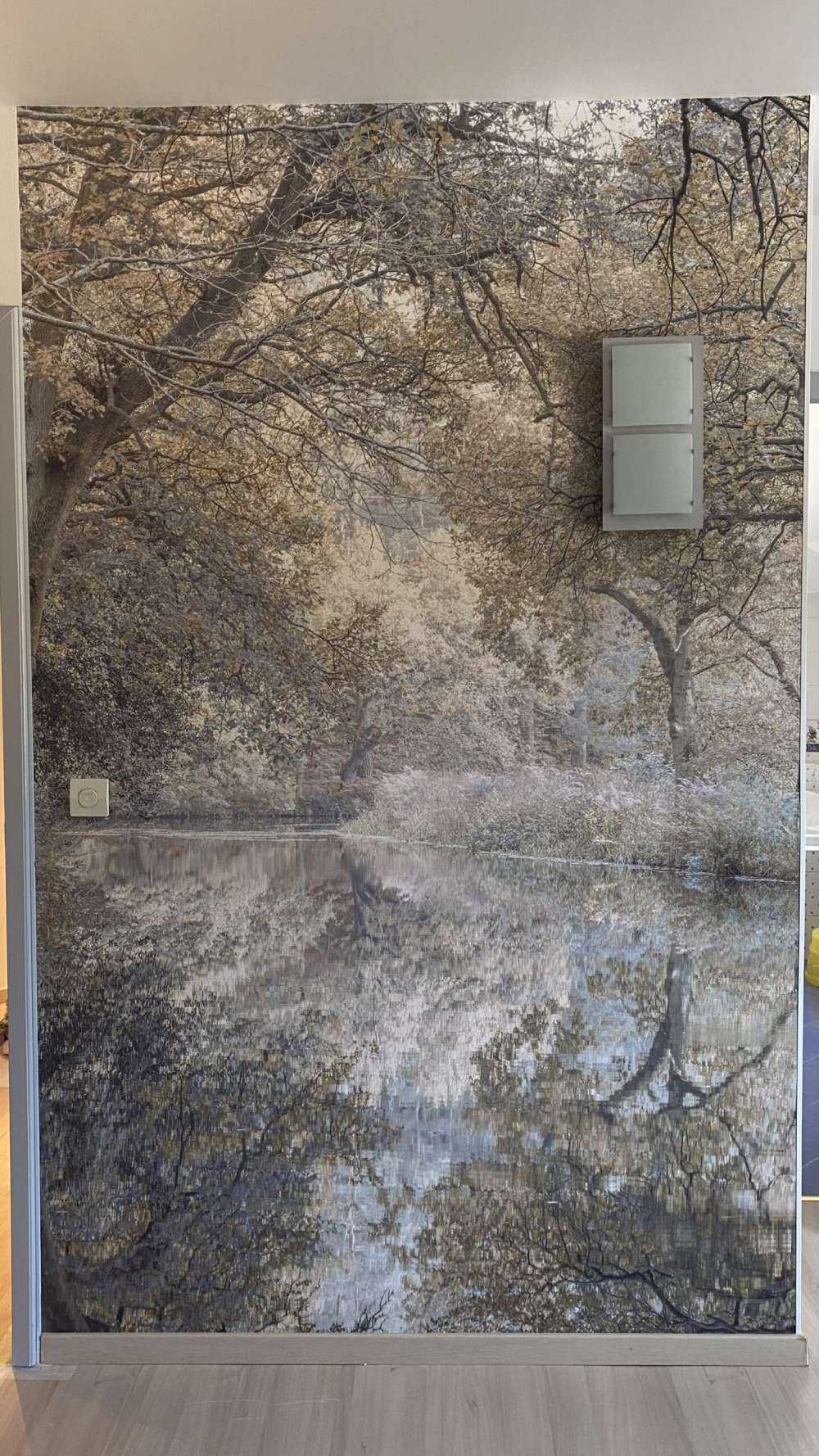 Rivière dans les bois