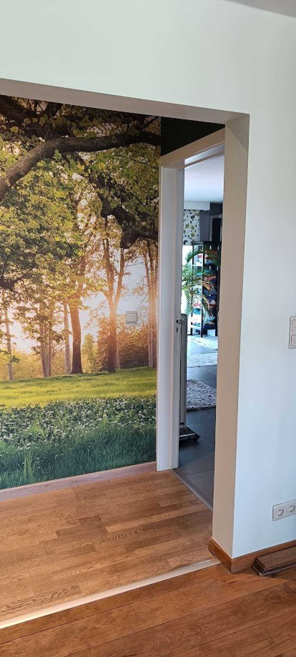 Espace ouvert dans la forêt