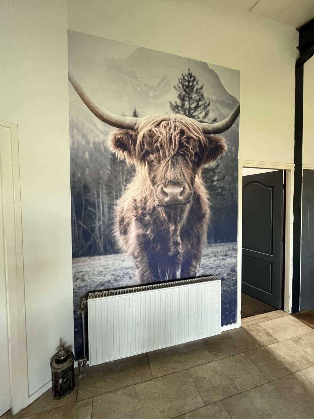 Le Highland écossais au bord de la forêt