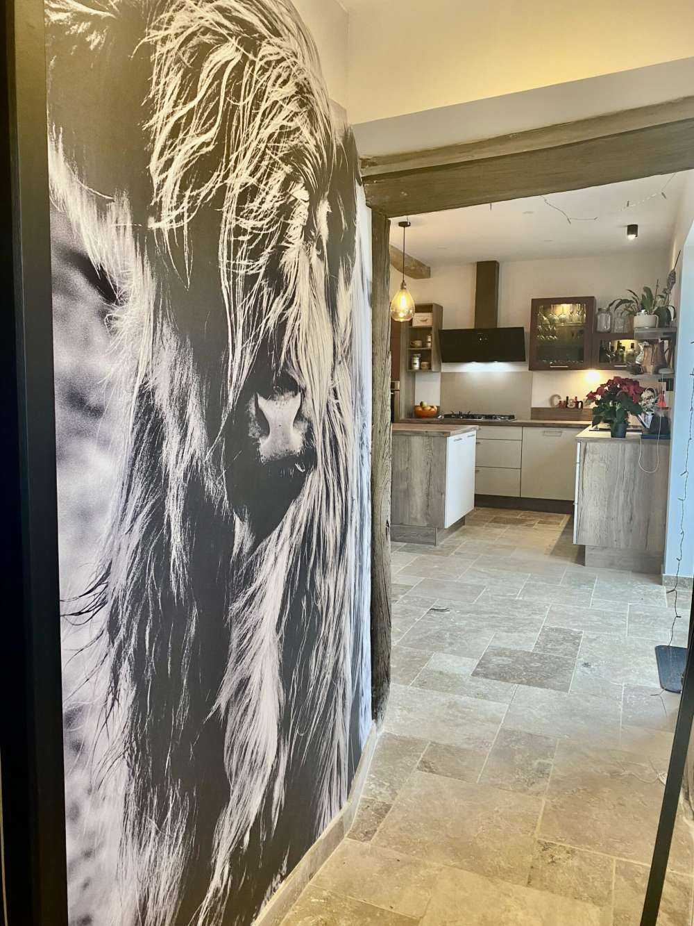 Le Highland écossais en noir et blanc