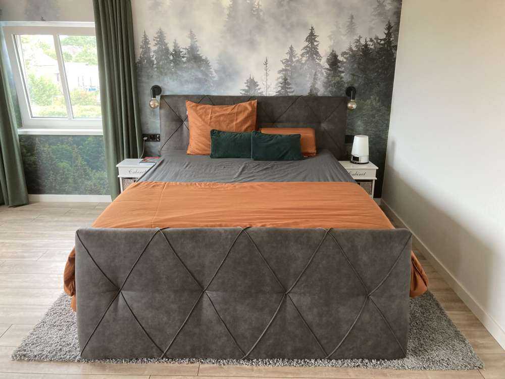 Paysage brumeux avec des arbres verts