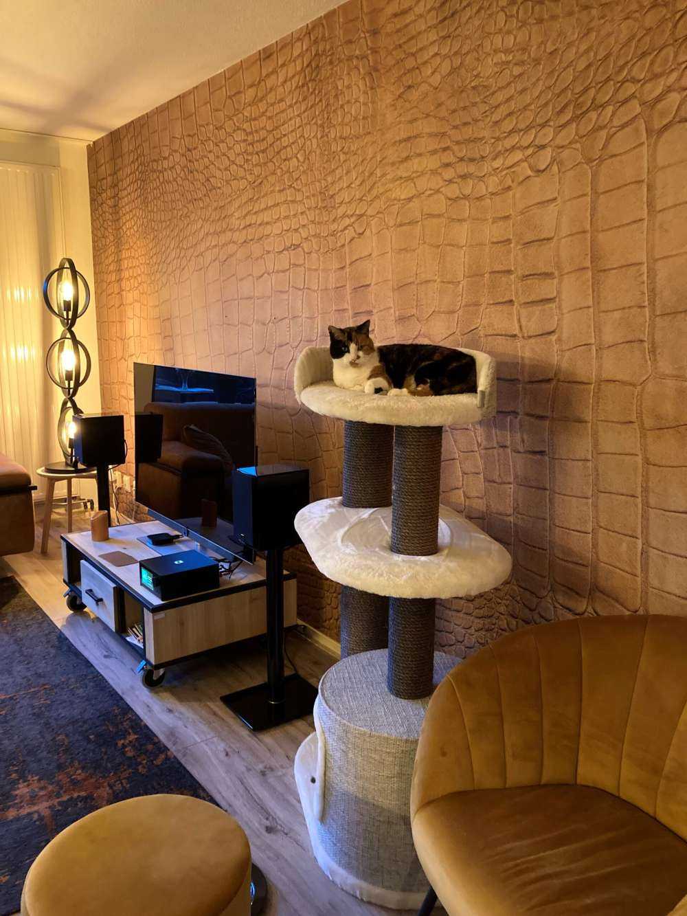 Crocodile texturé ocre jaune