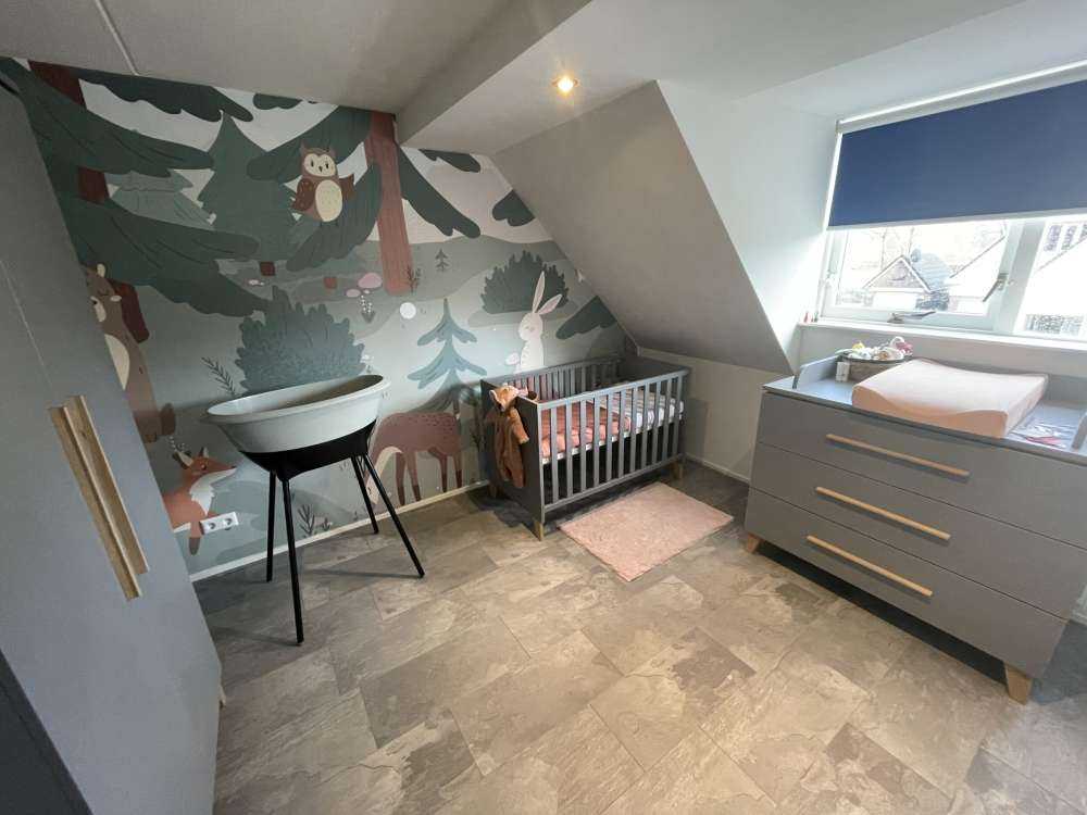 Forêt avec des animaux