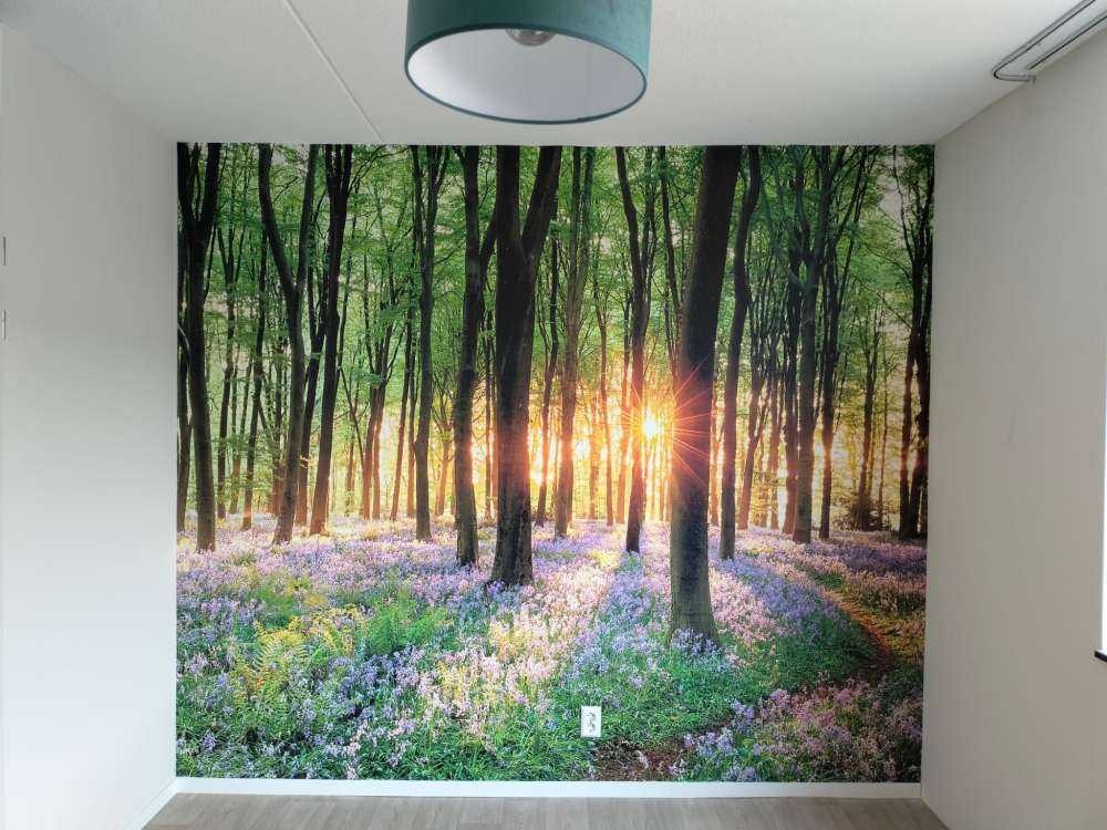 Chemin forestier au lever du soleil