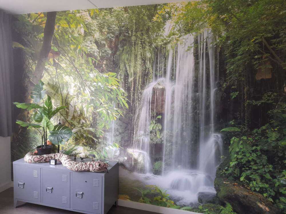 Chutes d'eau magique