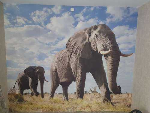 Le passage des éléphants