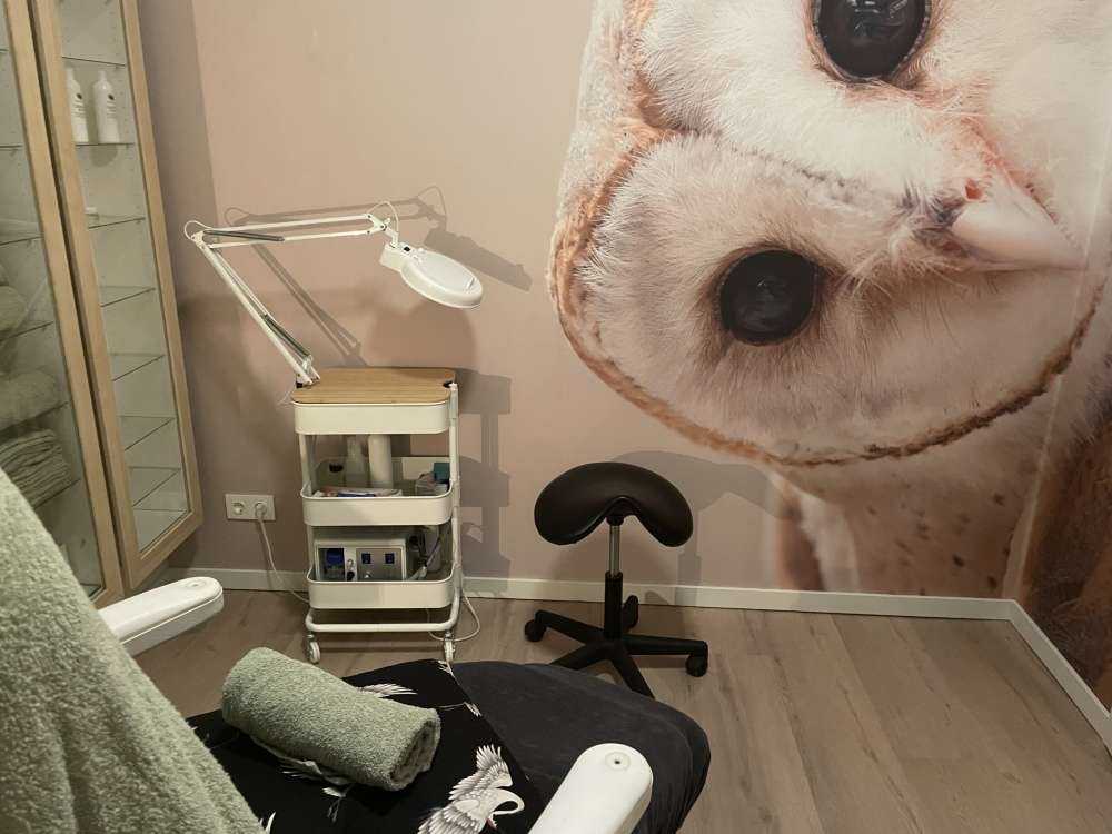 Chouette avec la tête inclinée