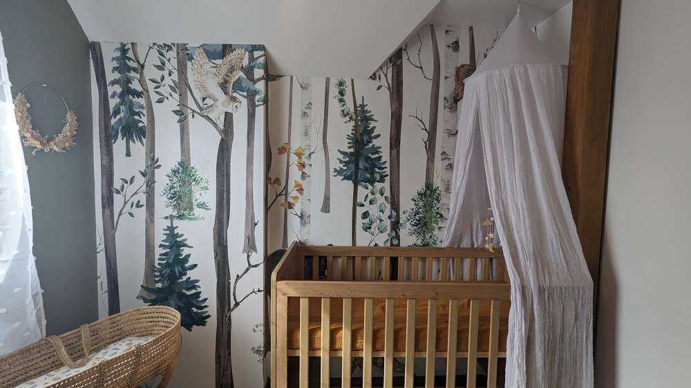 Forêt dessinée avec des animaux d'automne