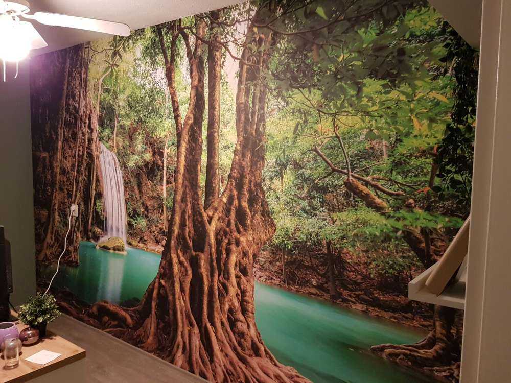 Chute d'eau dans la jungle tropicale