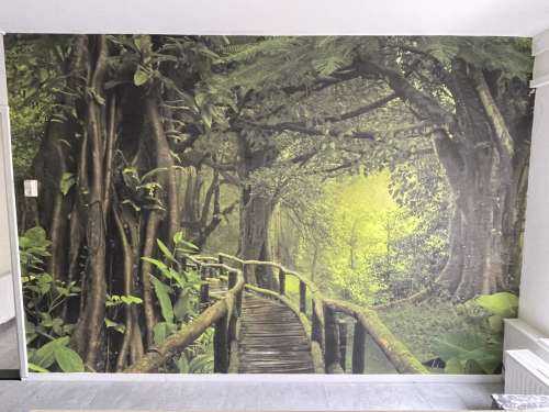 Pont en bois à travers une jungle verte