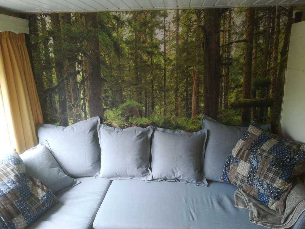 Forêt verte sauvage