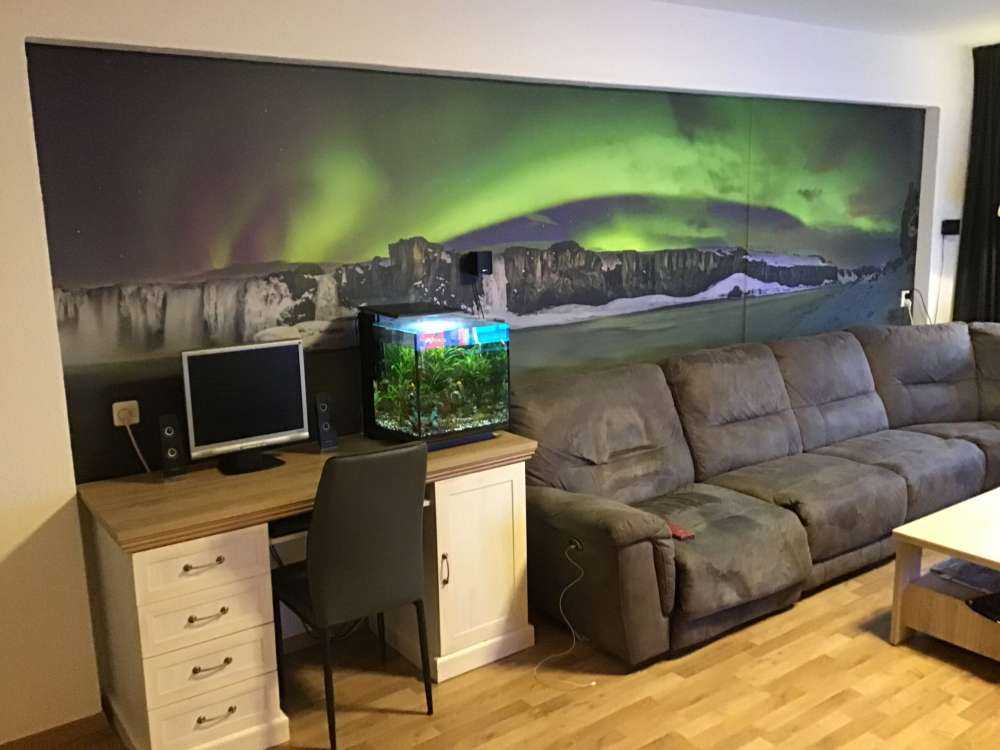 Photo panoramique des aurores boréales