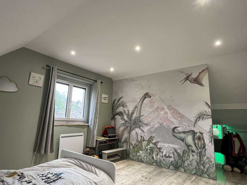 Dinos près d'un volcan