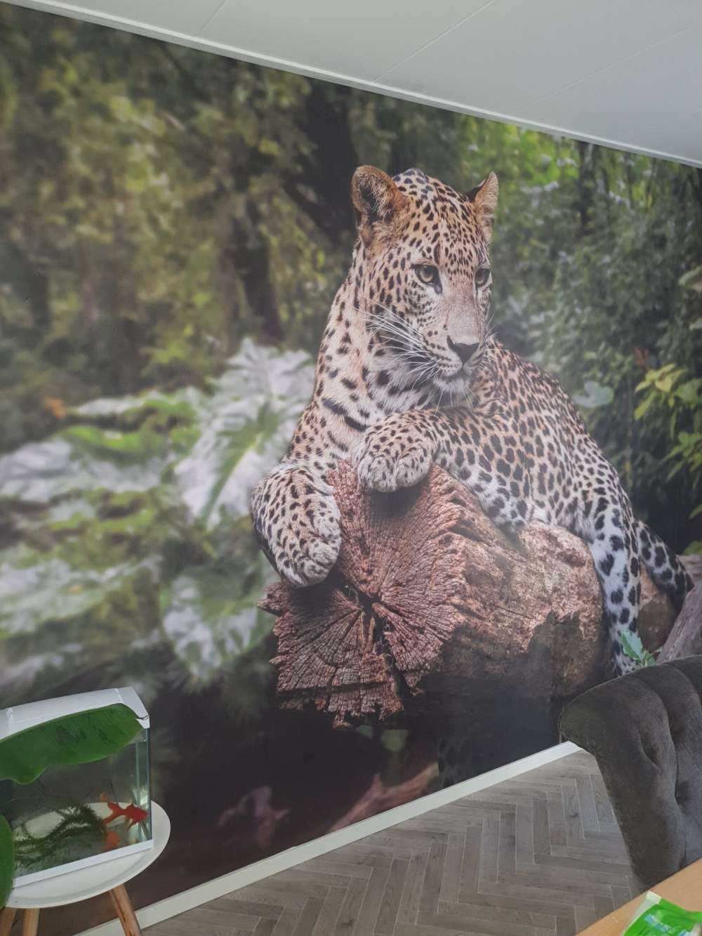 Un léopard sur une branche