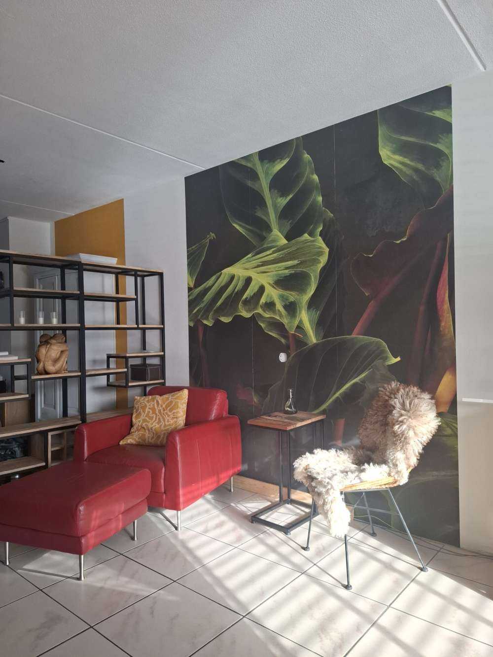 Plante avec de belles feuilles vertes