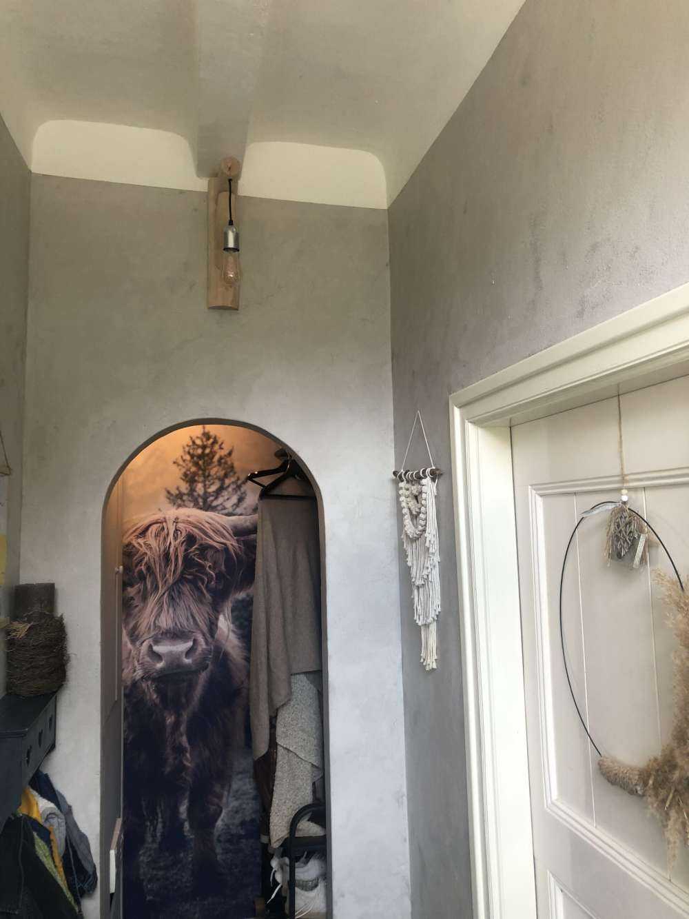 Le Highland écossais au bord de la forêt