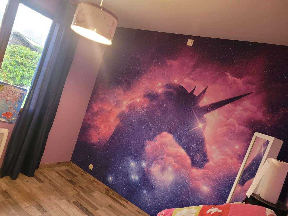 Silhouette de licorne