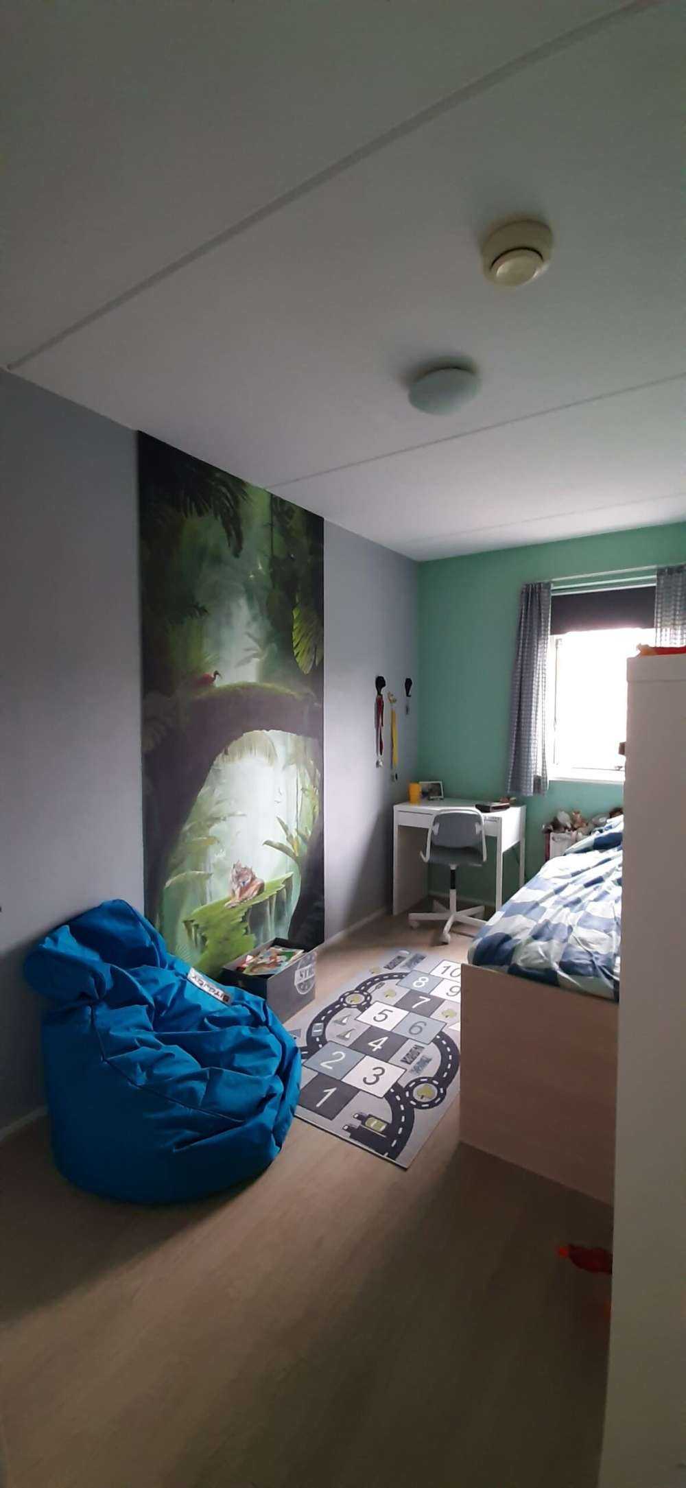 Couple de tigres dans la jungle