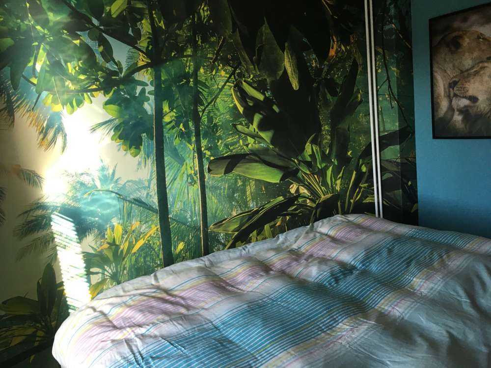 Une jungle mystérieuse