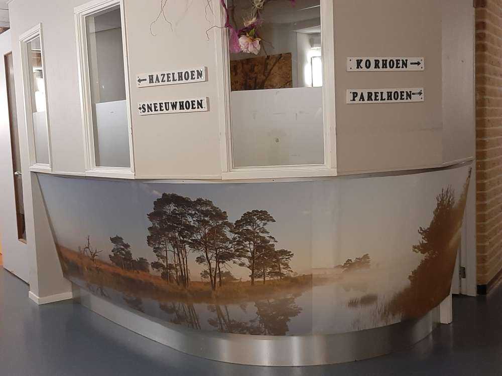 Réflexion dans la lande