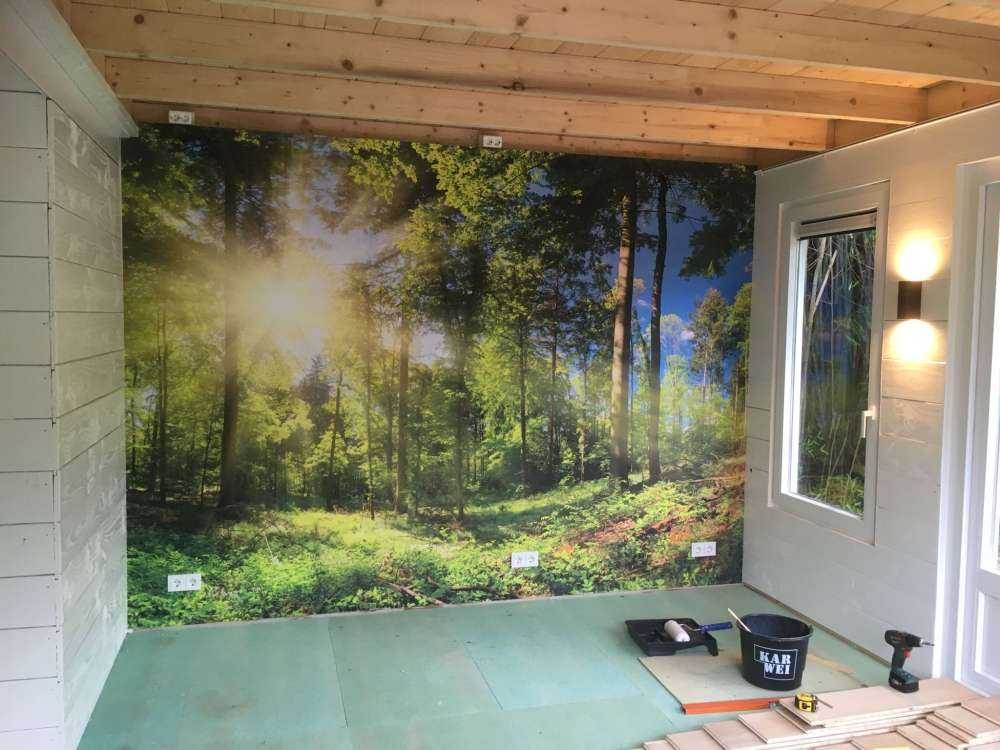 Une forêt avec des rayons de soleil