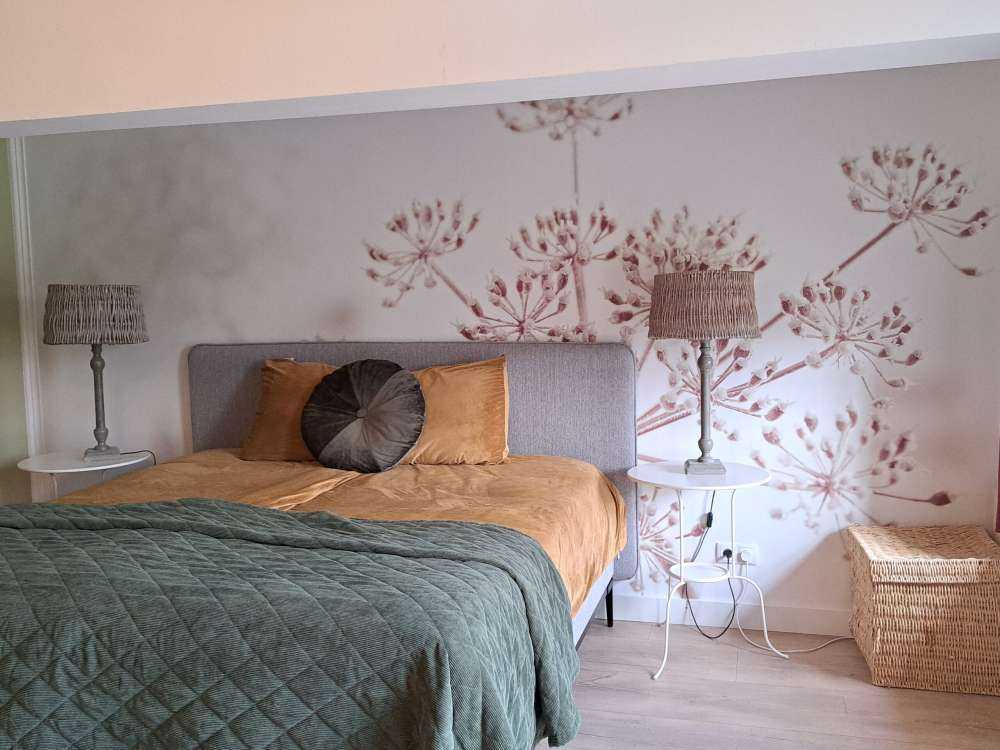 Cerfeuil sauvage en gros plan