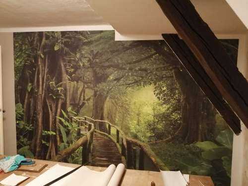 Pont en bois à travers une jungle verte