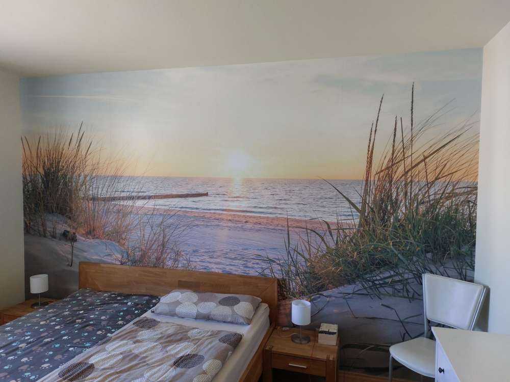 Plage de dunes avec coucher de soleil