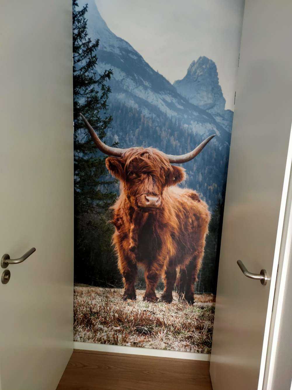 Un Highland écossais parmi les arbres