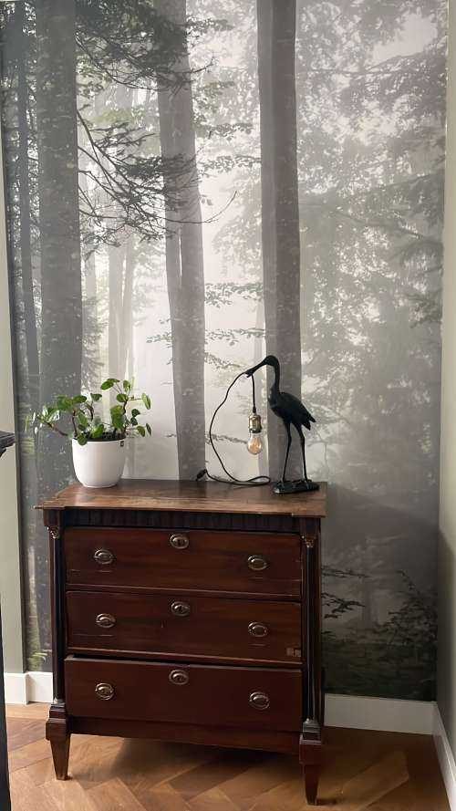 Beau paysage brumeux