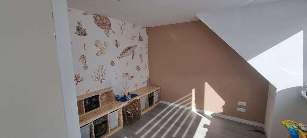 Coquillages et créatures marines