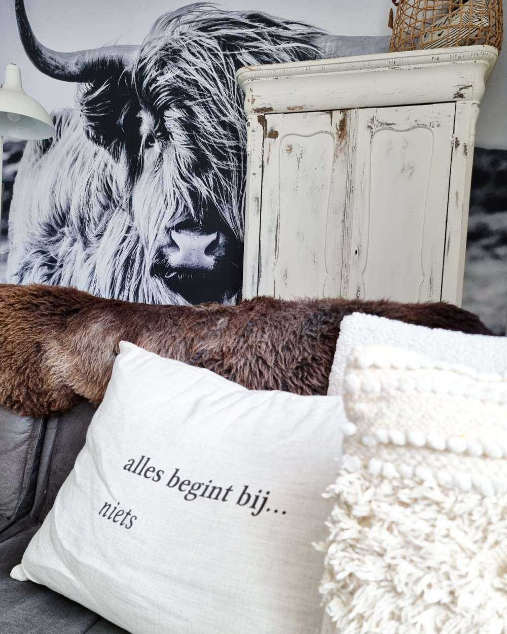 Le Highland écossais en noir et blanc
