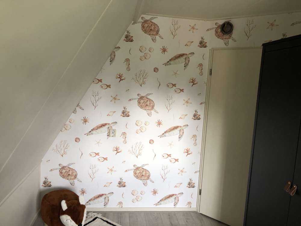 Coquillages et créatures marines