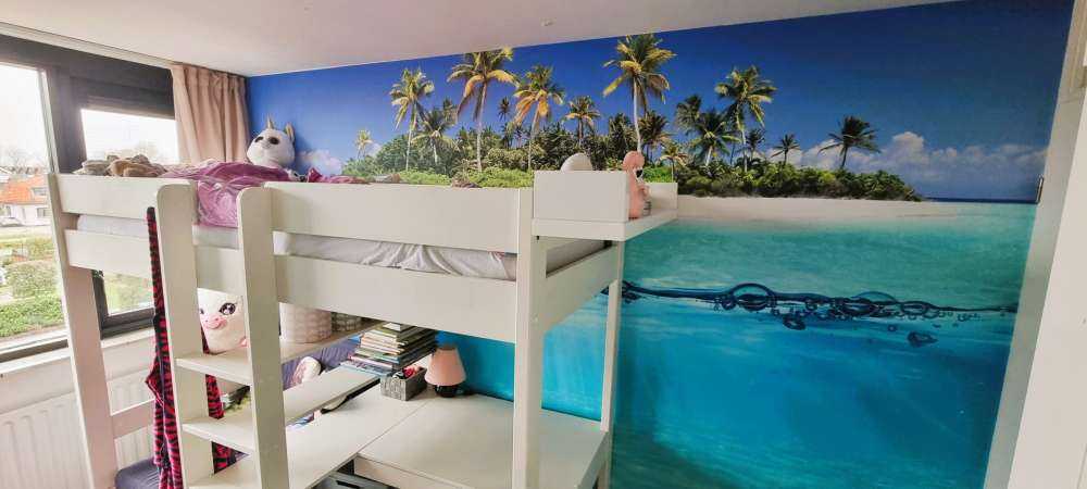 Île tropicale et récif corallien