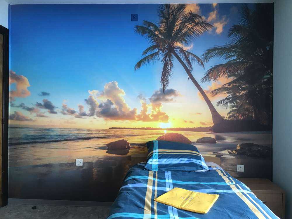 Palmiers au coucher du soleil