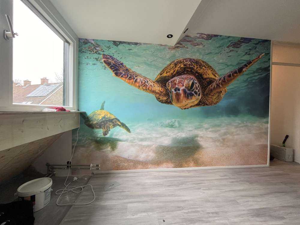 Tortue de mer dans l'océan