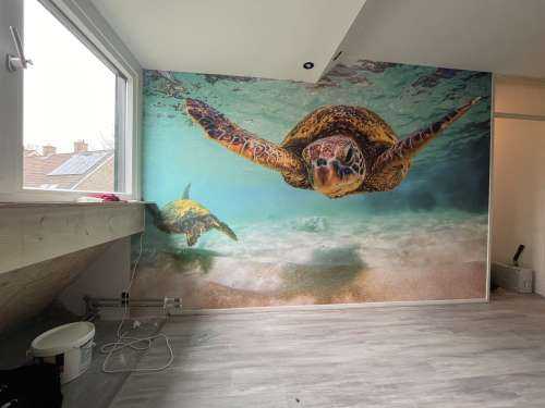 Tortue de mer dans l'océan