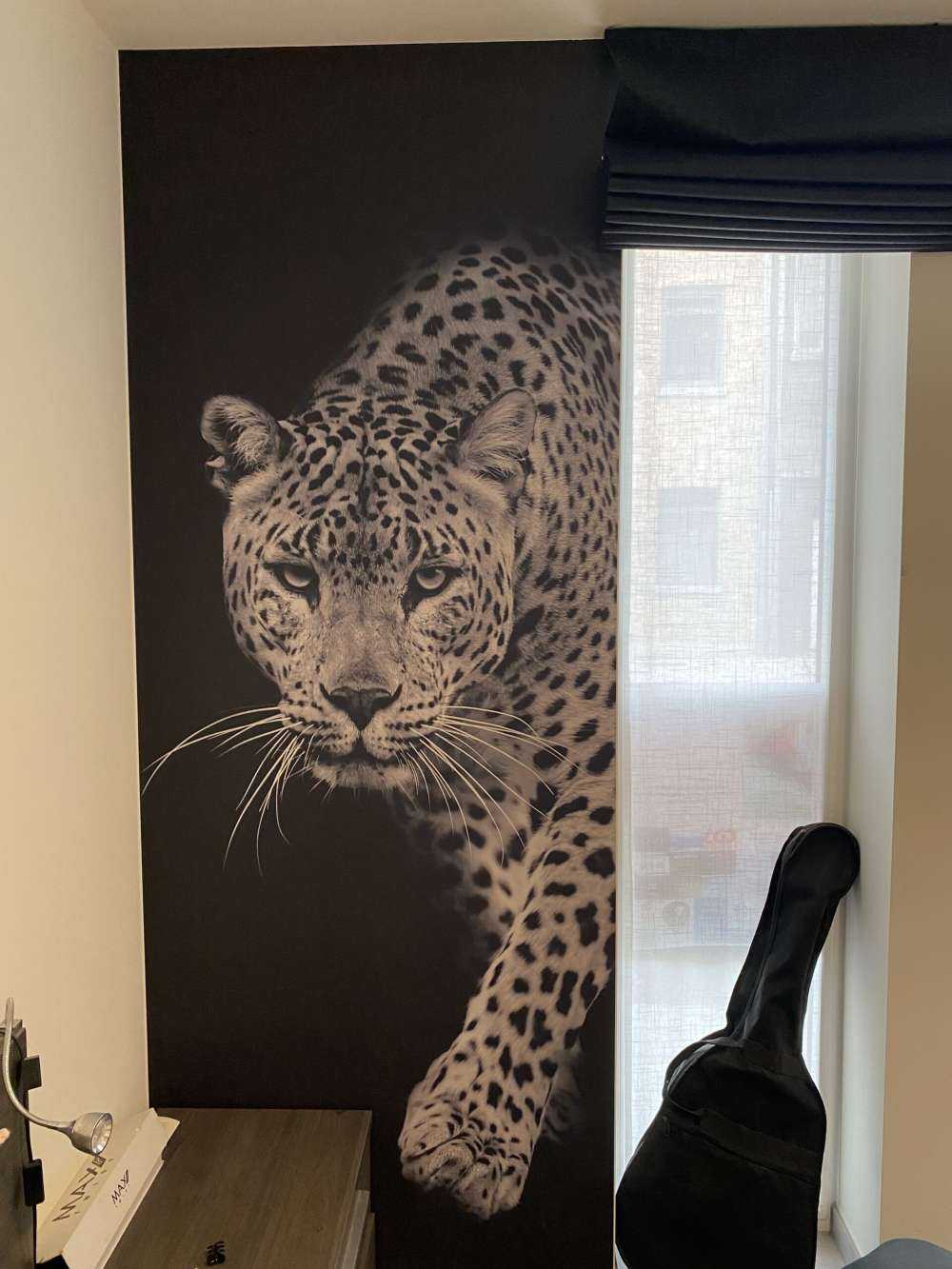 Léopard sur fond noir