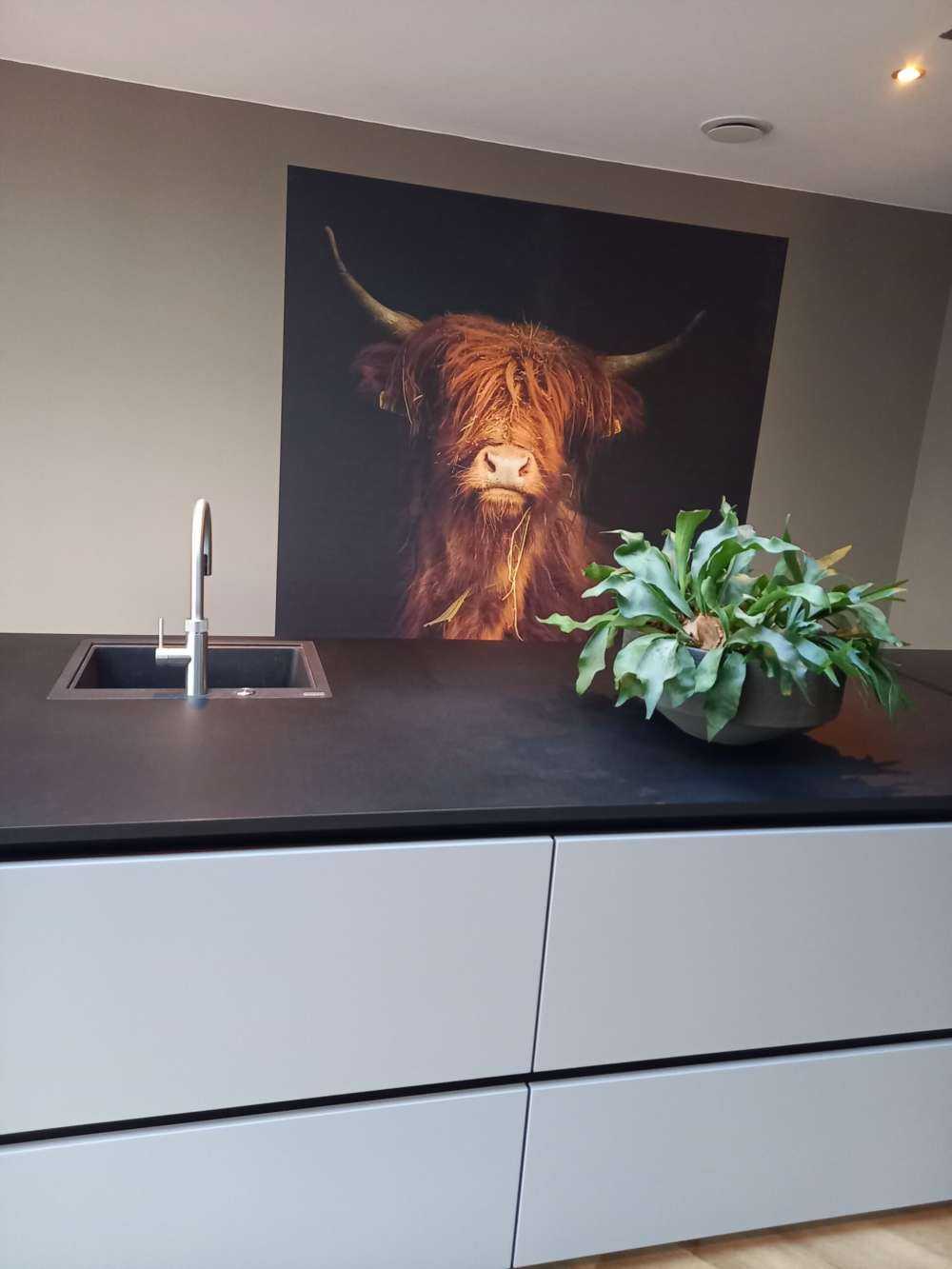 Portrait Scottish Highlander