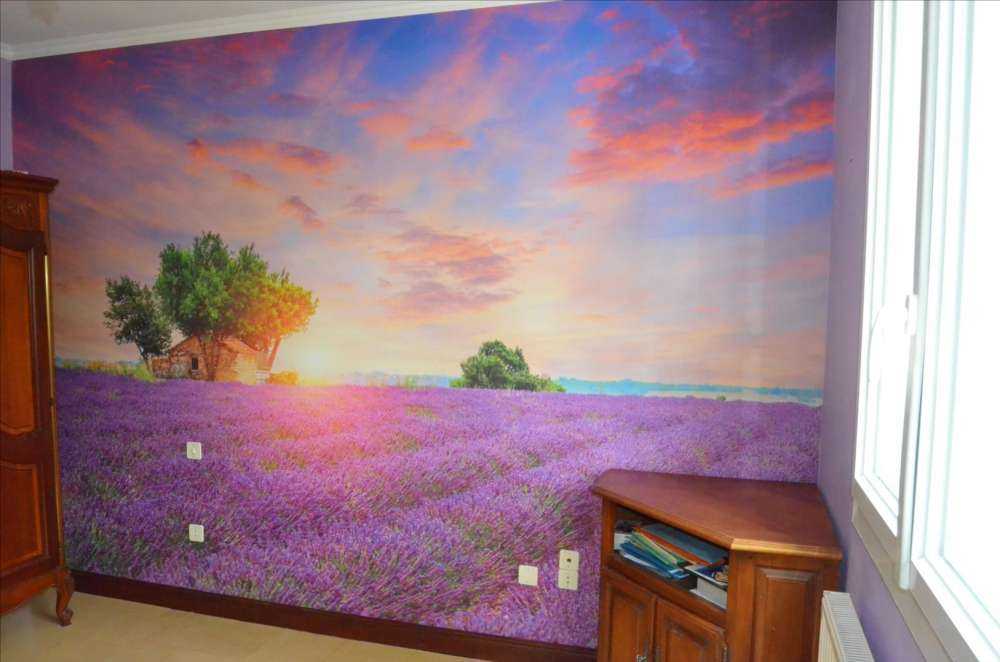 Champ de lavande au lever du soleil