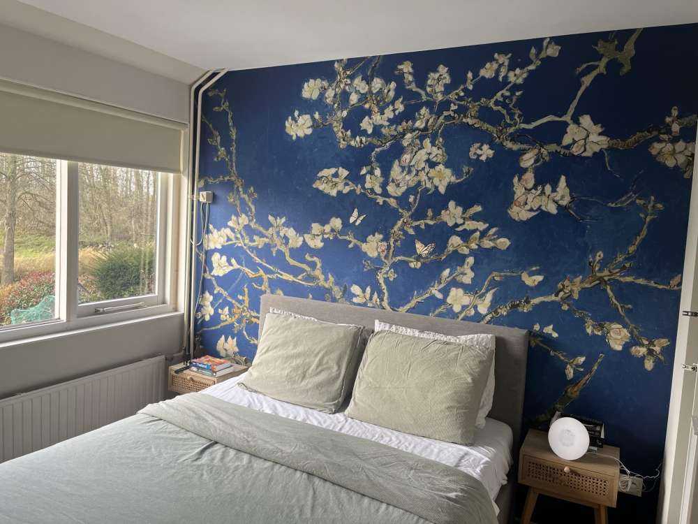 Fleur d'amandier dans la nuit