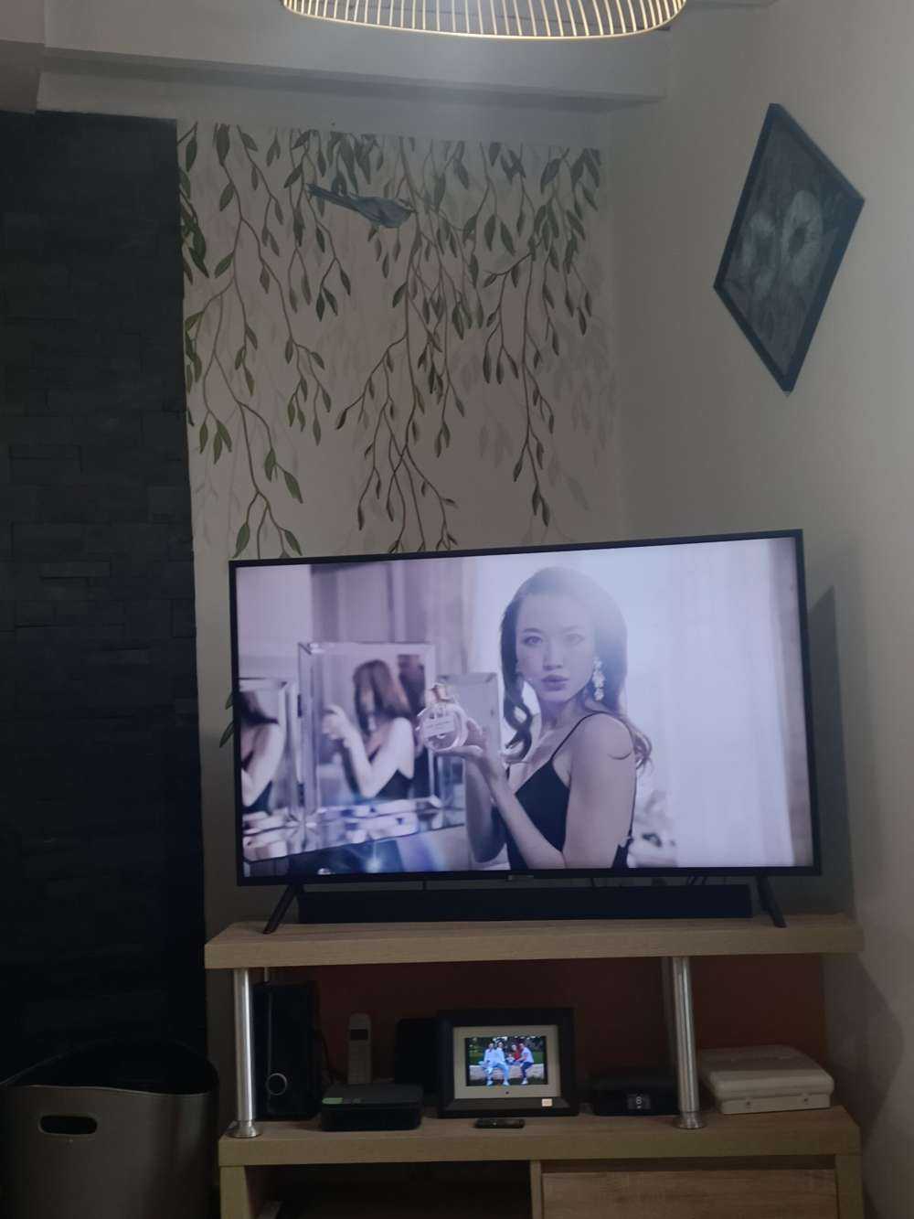 Branches et oiseaux suspendus