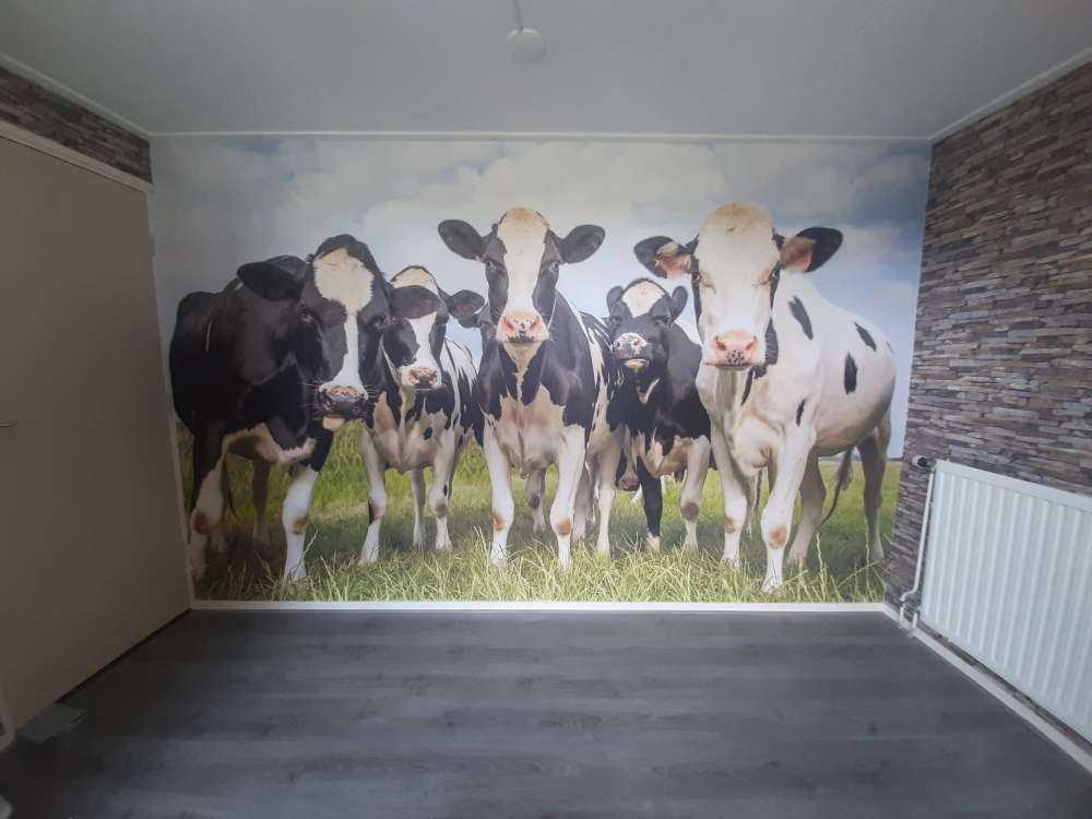 Troupeau de vaches