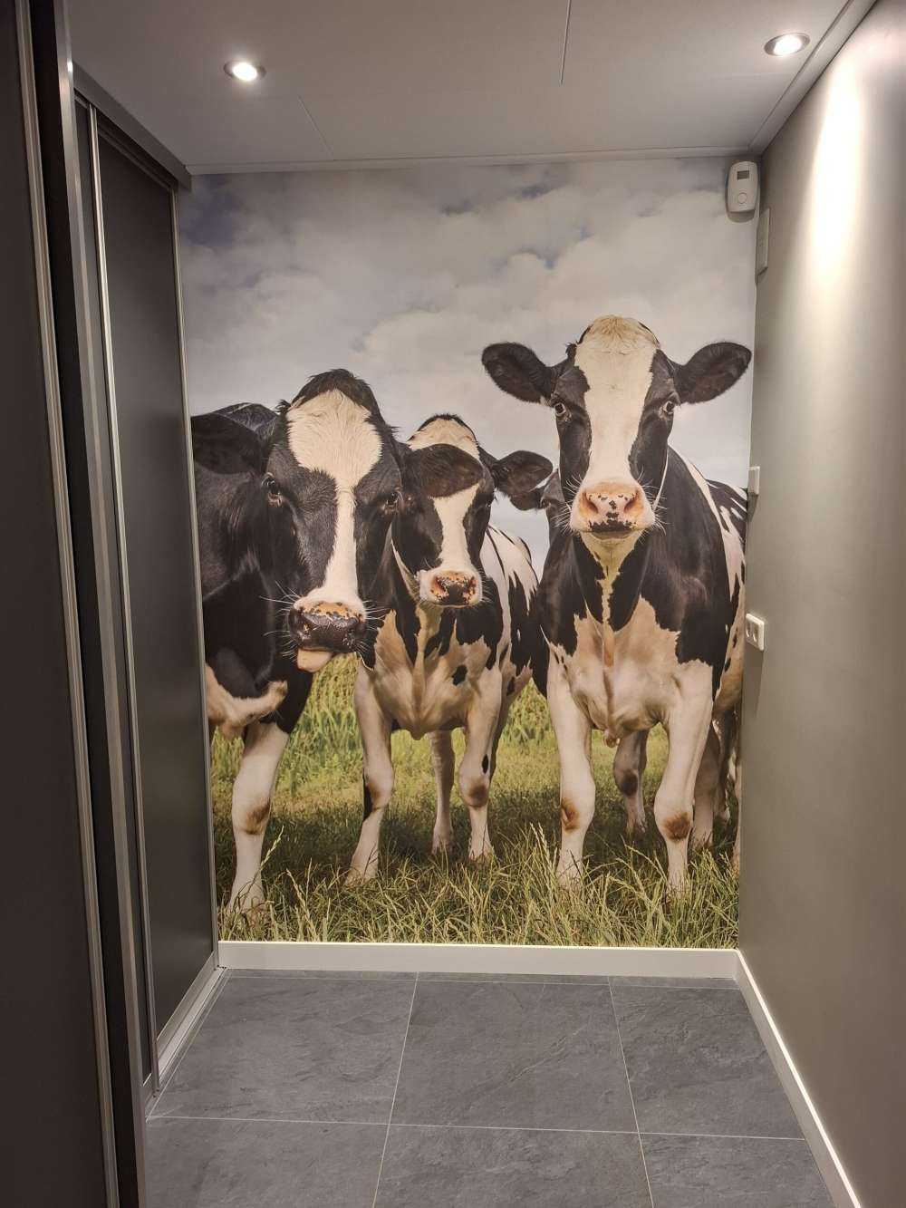 Troupeau de vaches