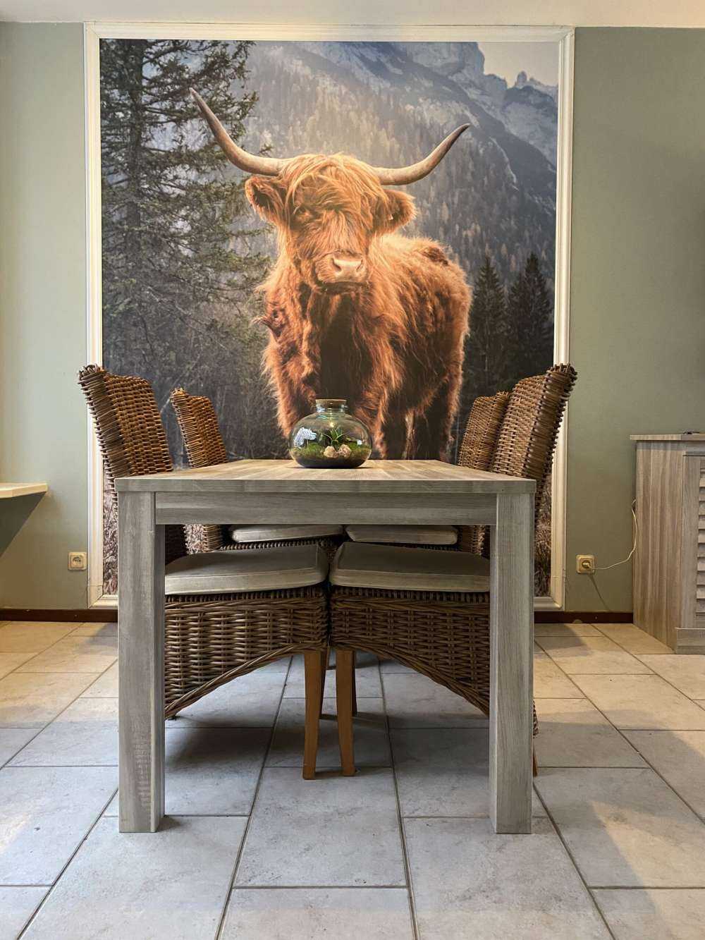 Un Highland écossais parmi les arbres