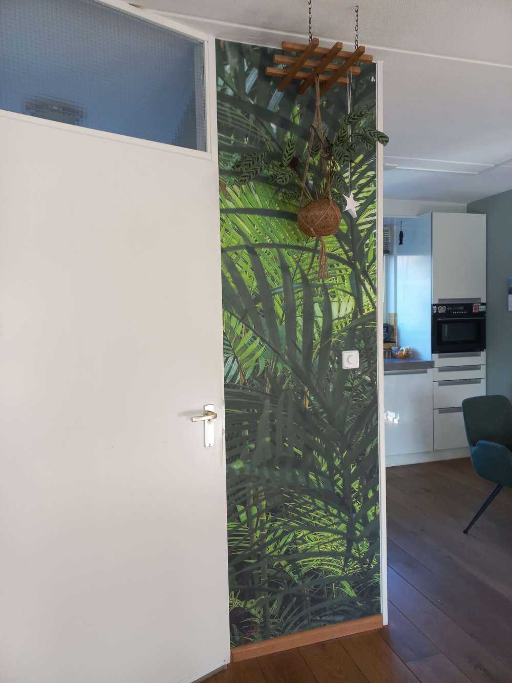 Forêt tropicale humide