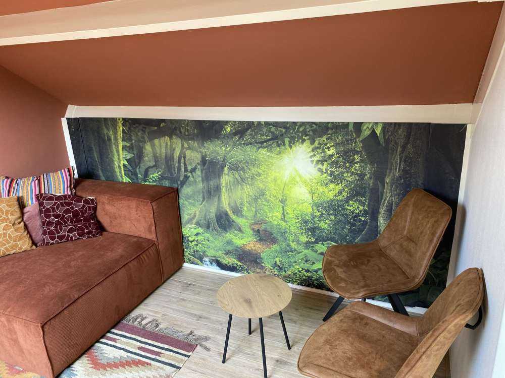 Jungle tropicale avec lumière du soleil