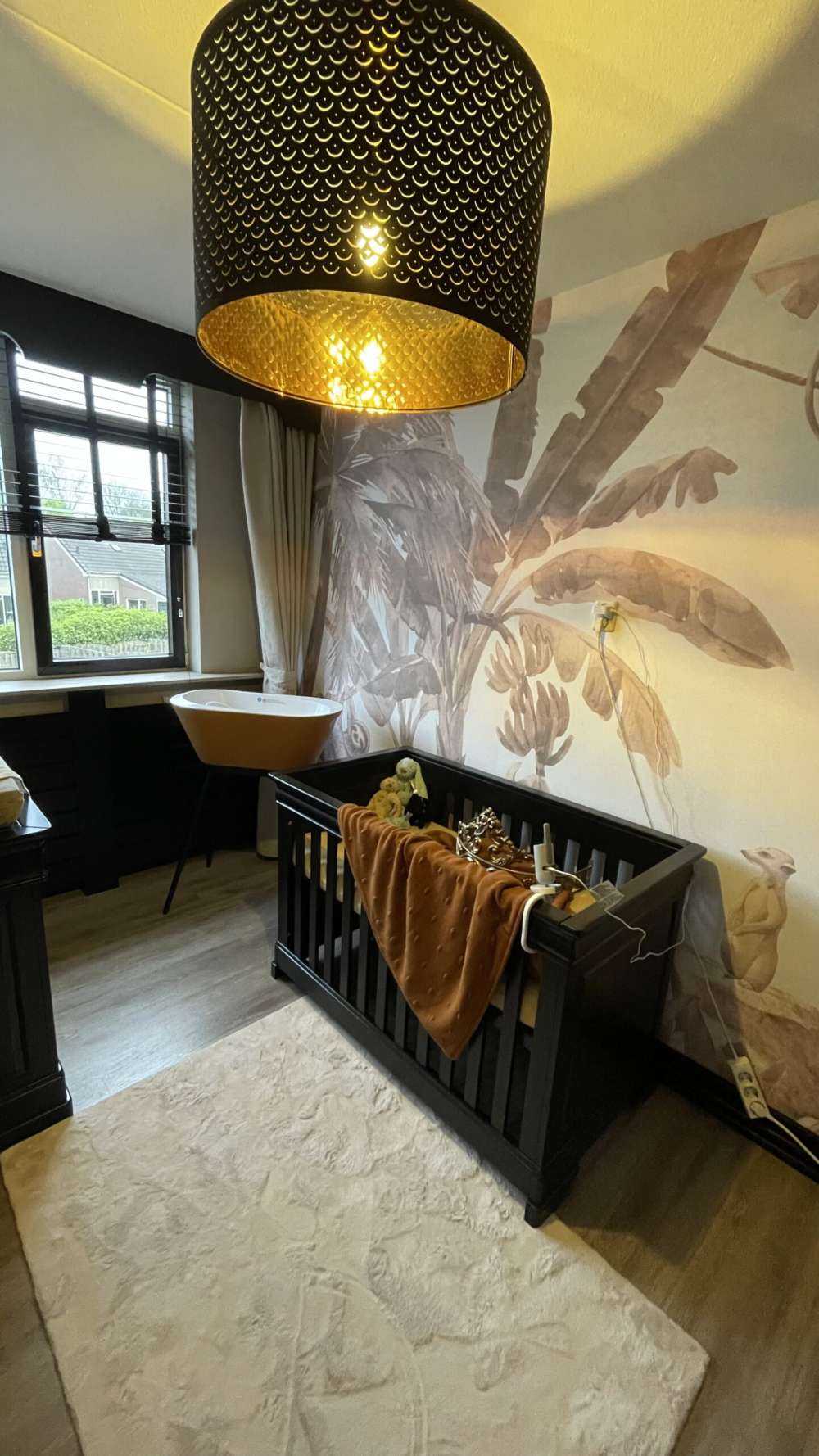 Petits animaux de la jungle en taupe